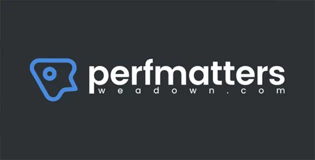 Perfmatters 2.2.9 – WordPress Performance Plugin